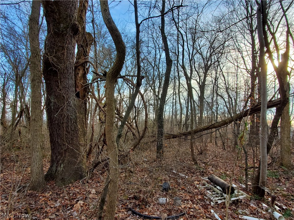 55010 Iowa Road Cumberland, OH 43732 - Photo 4 of 16