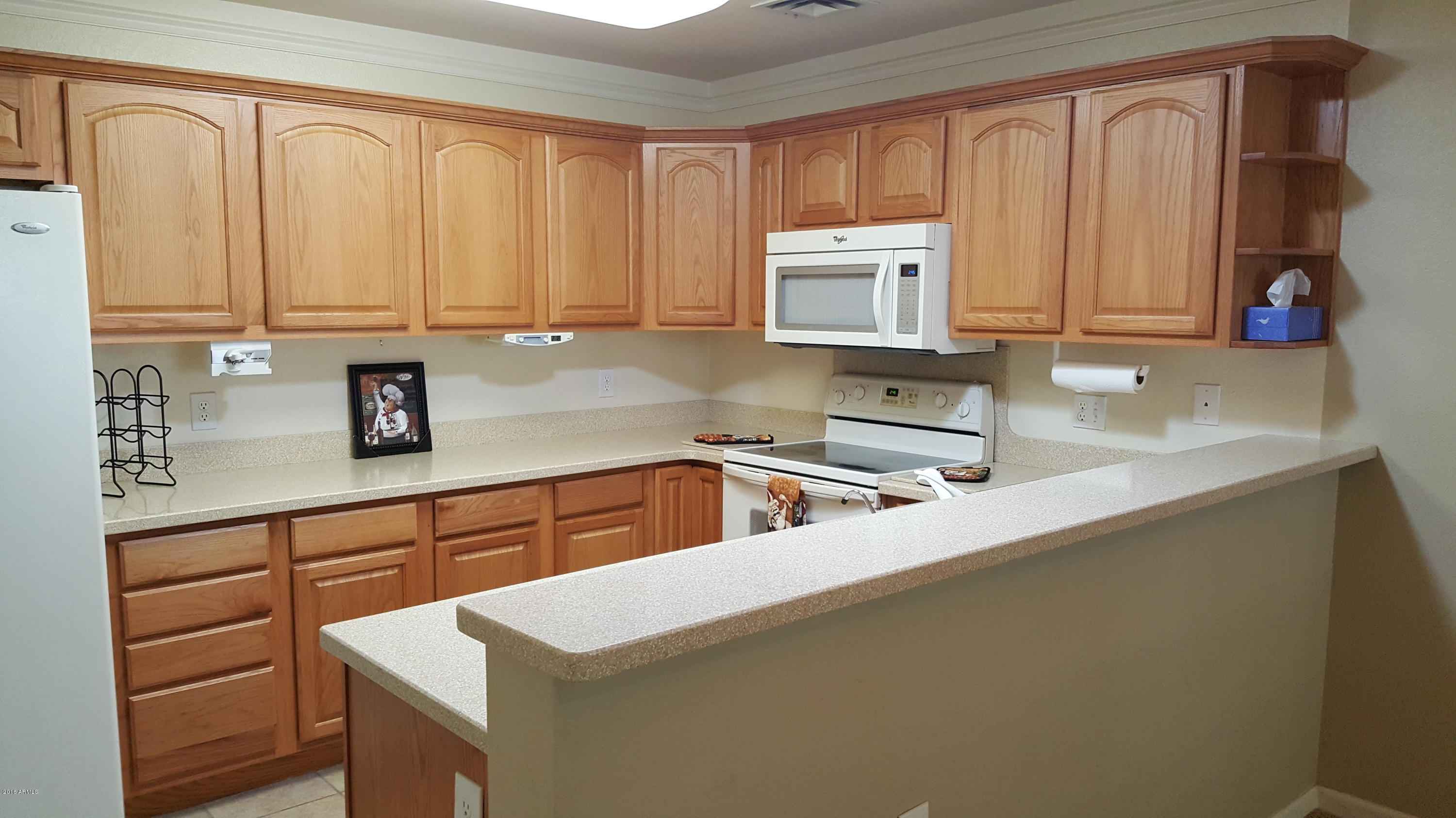 14300 West Bell Road, Unit 526 Surprise, AZ 85374 - Photo 3 of 30 20160611_144616
