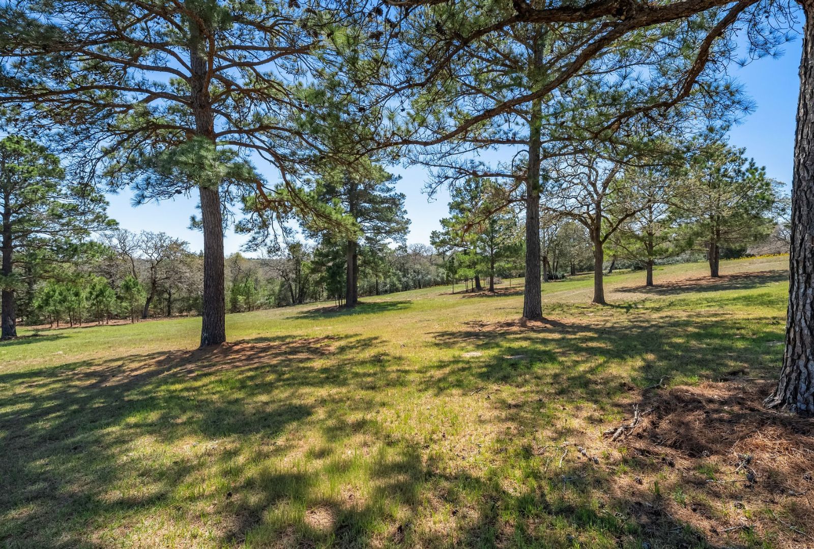 490 John Craft Road Red Rock, TX 78662 - Photo 37 of 40