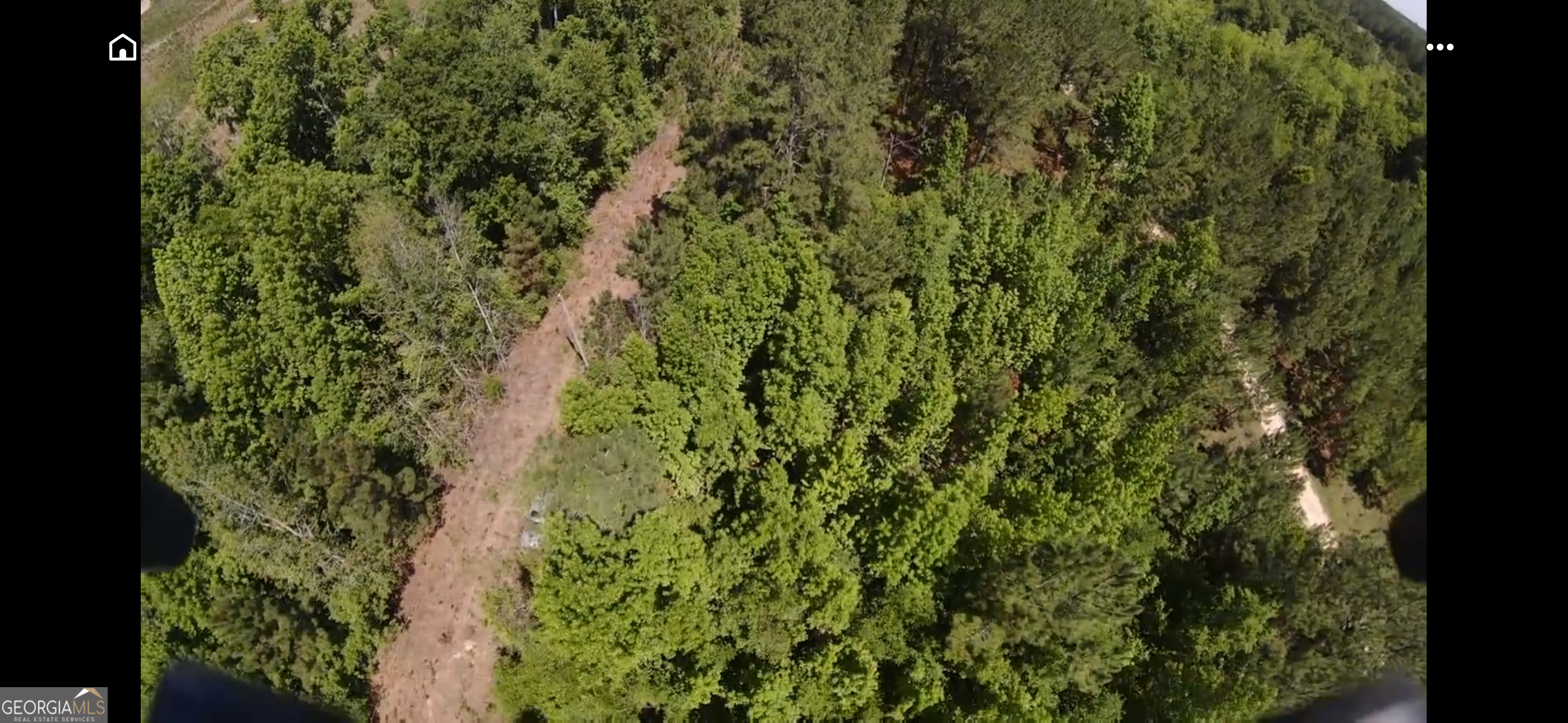 0 Windwood Road Metter, GA 30439 - Photo 1 of 7 a view of a forest with a tree