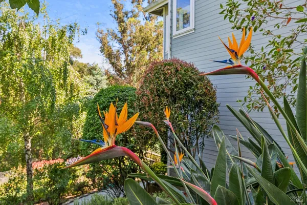 $9,900 | 32 Marin Bay Park Court, San Rafael, CA 94901