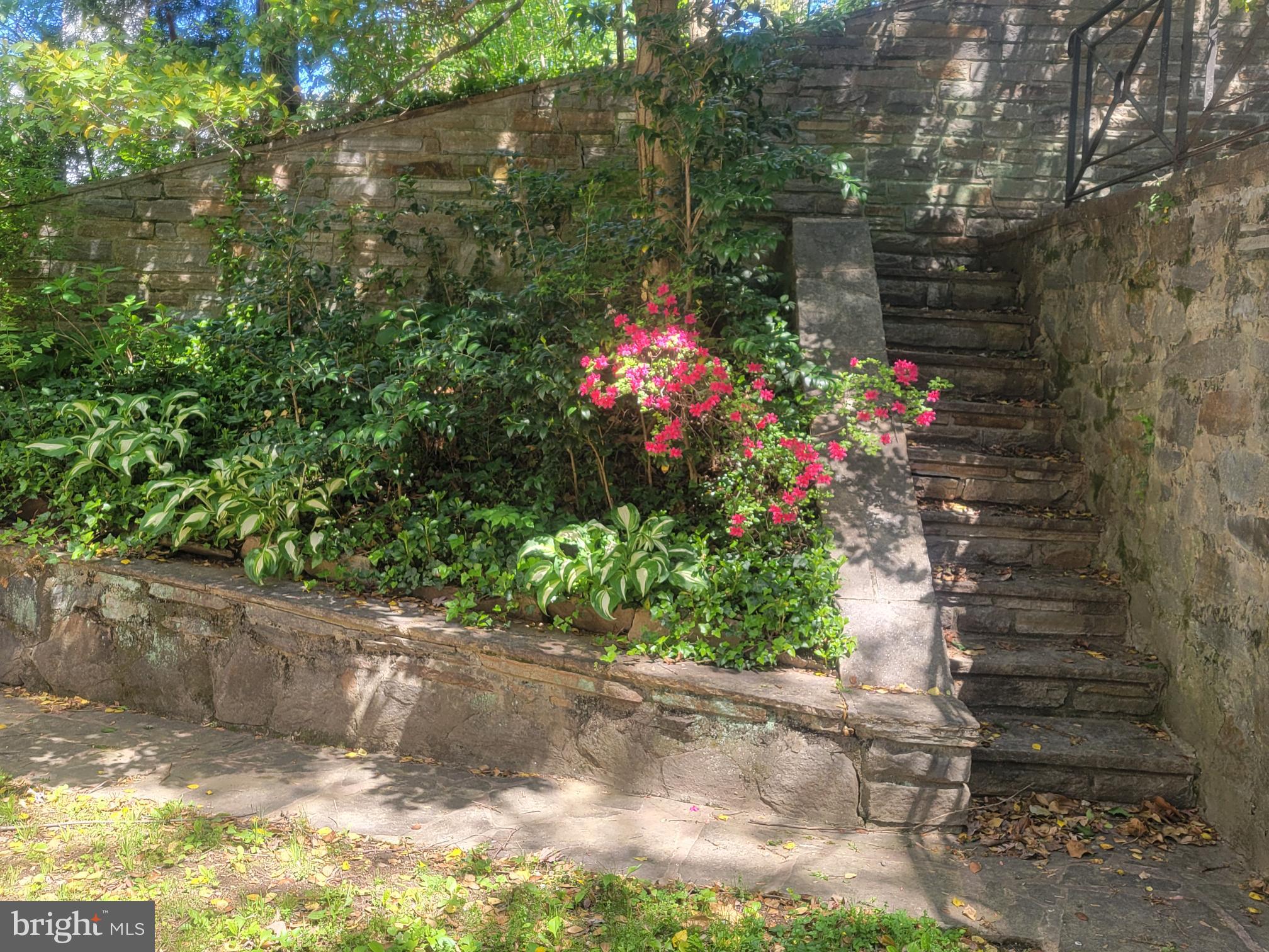 5211 Springlake Way Baltimore, MD 21212 - Photo 11 of 18 Stairs lead up to garage facing the alley