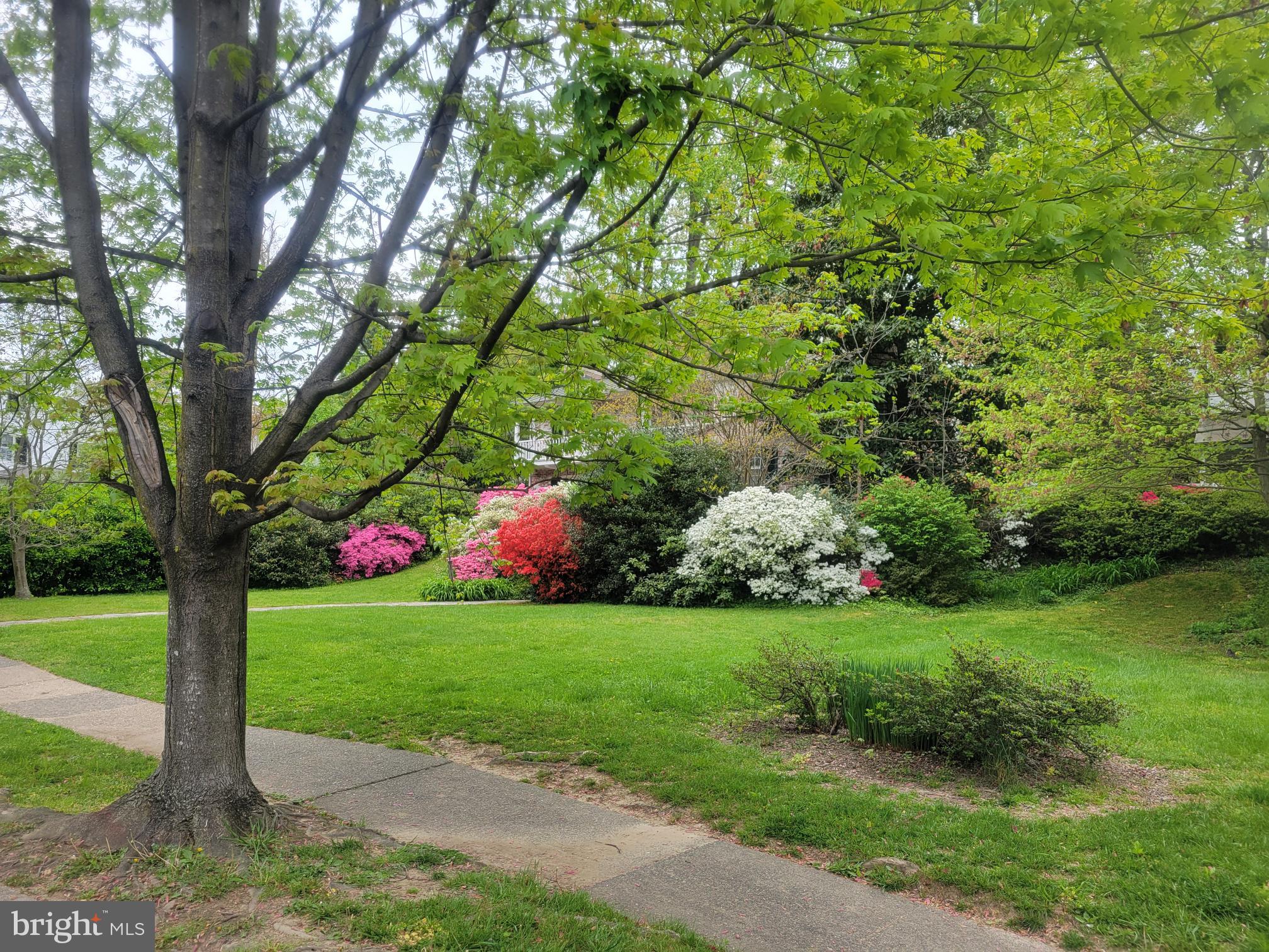 5211 Springlake Way Baltimore, MD 21212 - Photo 6 of 18 Attractive street