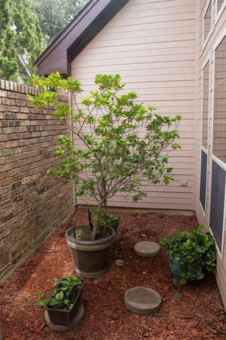 a view of a potted plant sitting in front of a house