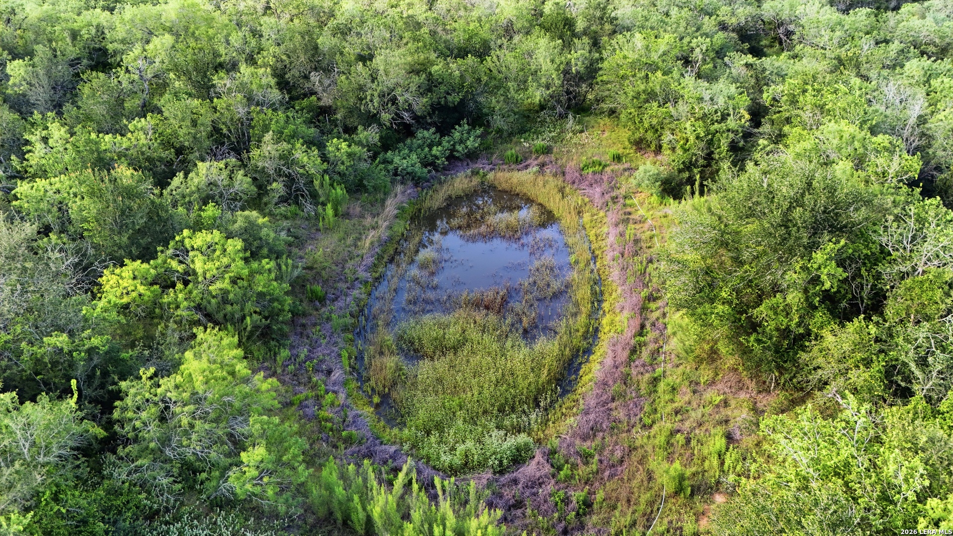 445 Marrou Rd (lot 2) Seguin, TX 78155 - Photo 8 of 13