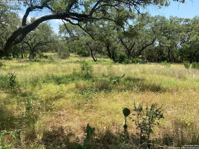 $284,900 | Lot 15 County Road 368, Mico, TX 78056