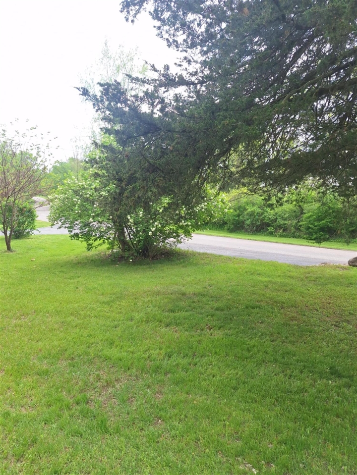 5211 Long Lake Road Reading, MI 49274 - Photo 92 of 99