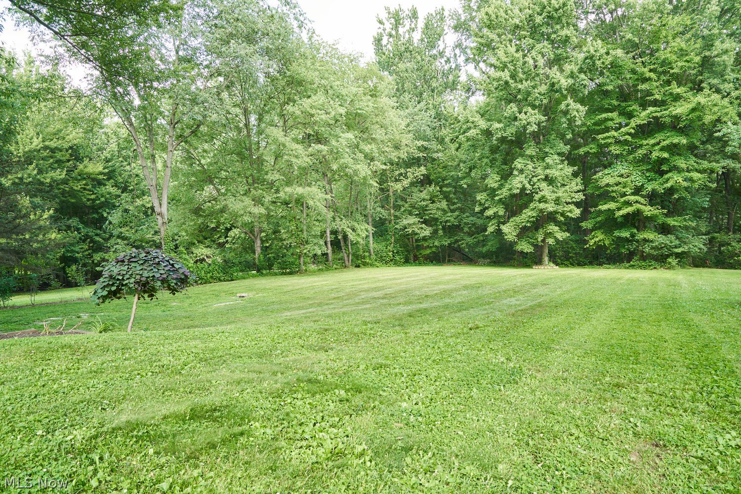 1097 Oak Tree Road Akron, OH 44320 - Photo 2 of 24