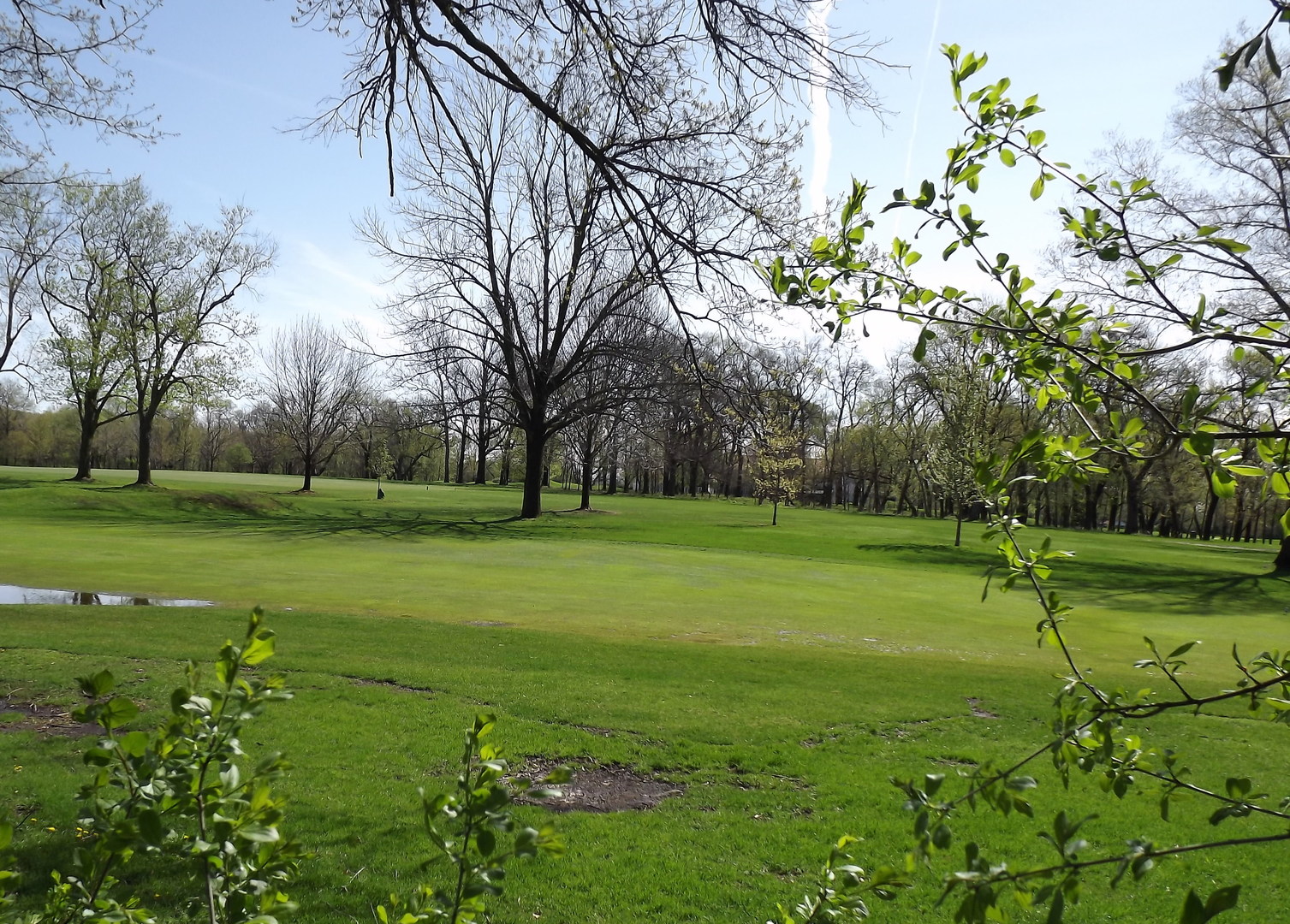 18056 Perth Avenue Homewood, IL 60430 - Photo 11 of 42 a view of a park with large trees