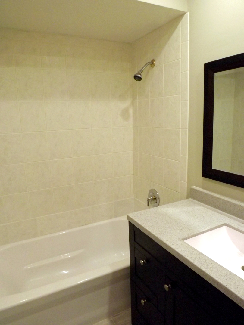 18056 Perth Avenue Homewood, IL 60430 - Photo 31 of 42 a bathroom with a sink and a bathtub
