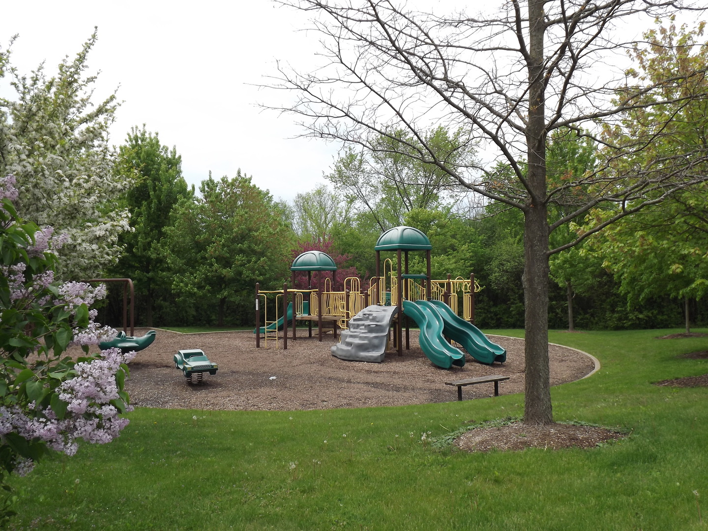 18056 Perth Avenue Homewood, IL 60430 - Photo 42 of 42