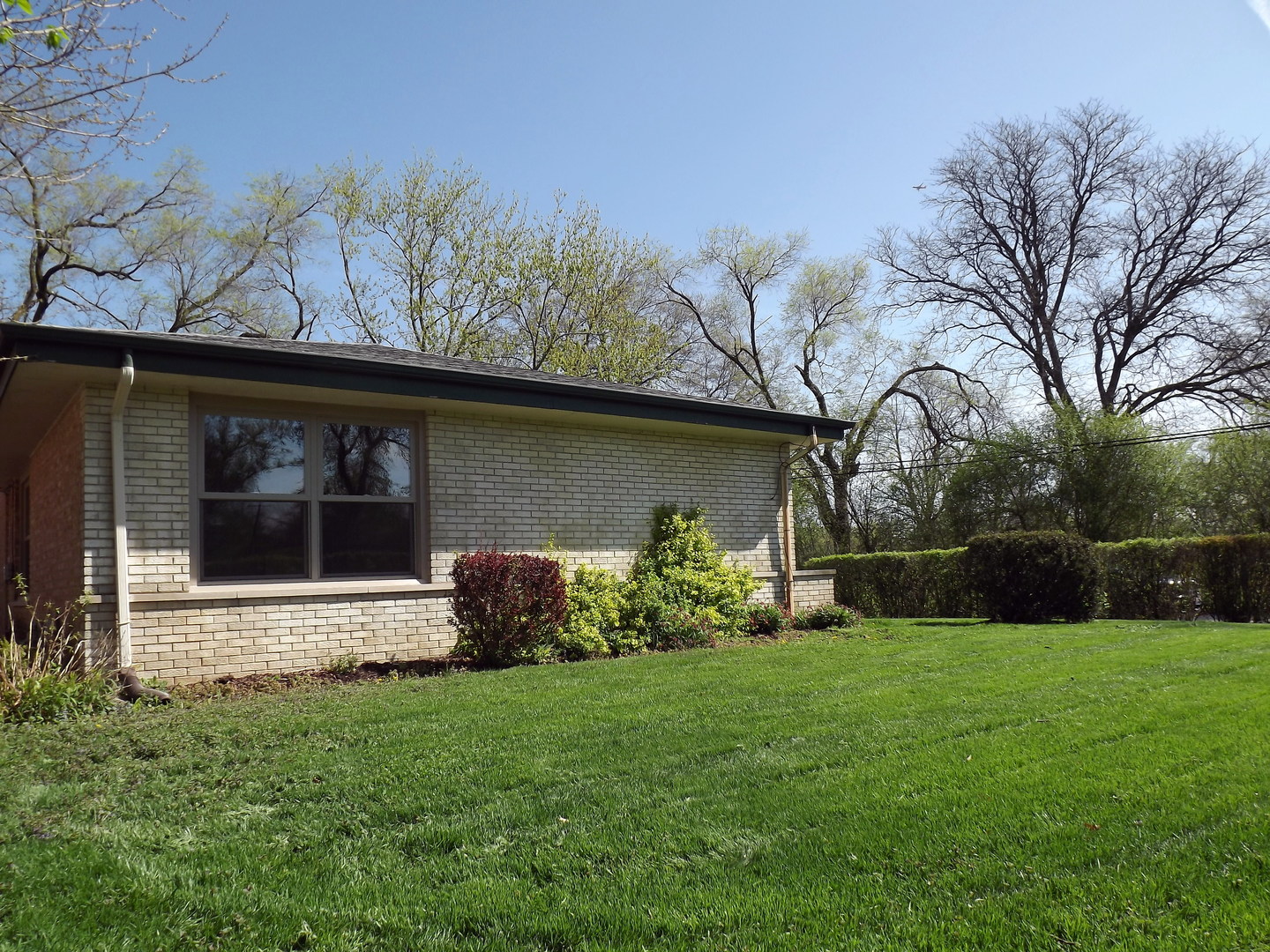 18056 Perth Avenue Homewood, IL 60430 - Photo 6 of 42 a view of a backyard with potted plants and a large tree