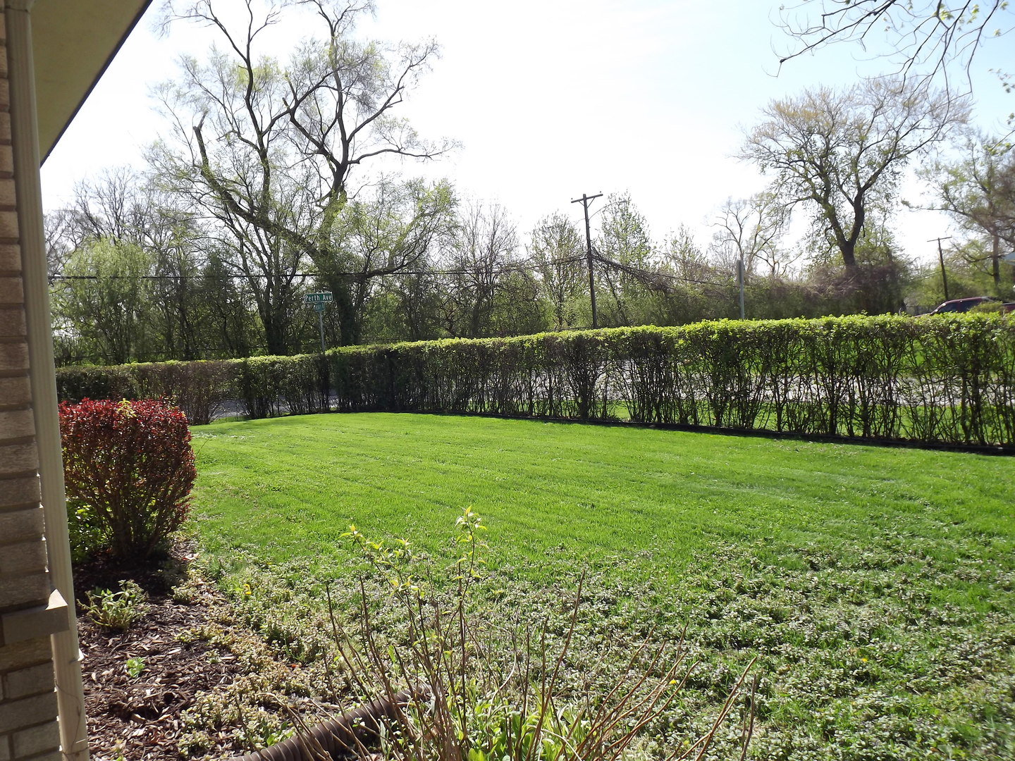 18056 Perth Avenue Homewood, IL 60430 - Photo 7 of 42 a view of a backyard