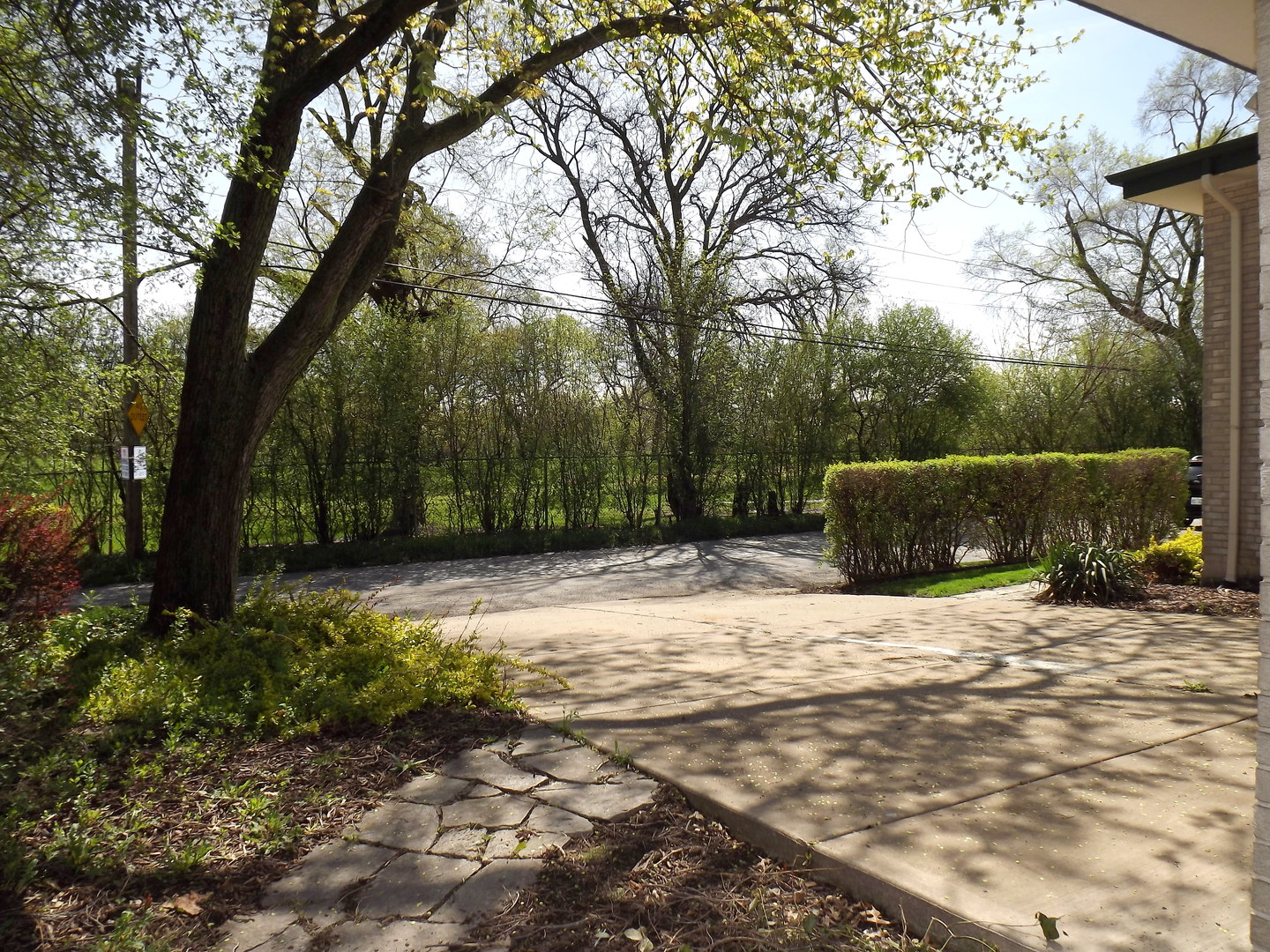 18056 Perth Avenue Homewood, IL 60430 - Photo 9 of 42 a backyard of a house with lots of green space