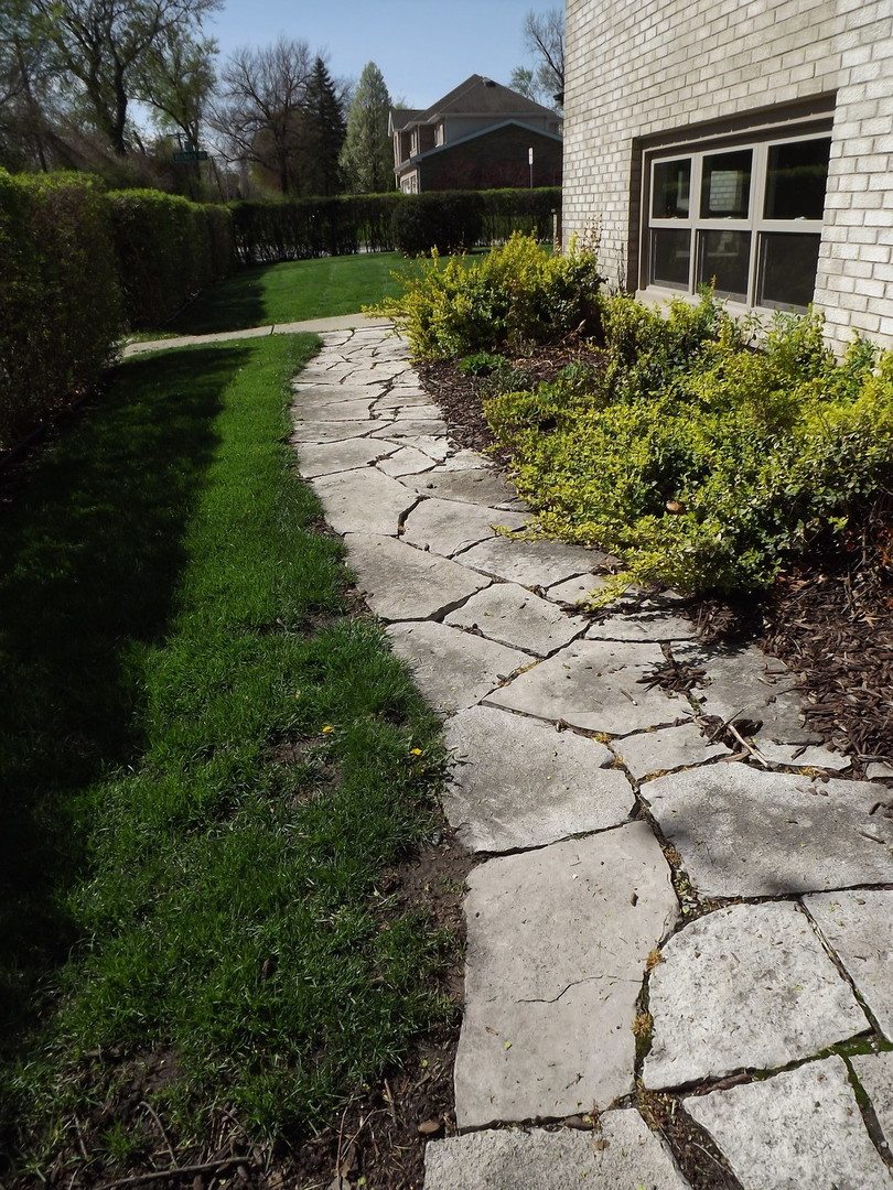 18056 Perth Avenue Homewood, IL 60430 - Photo 10 of 42 a view of a house with a garden