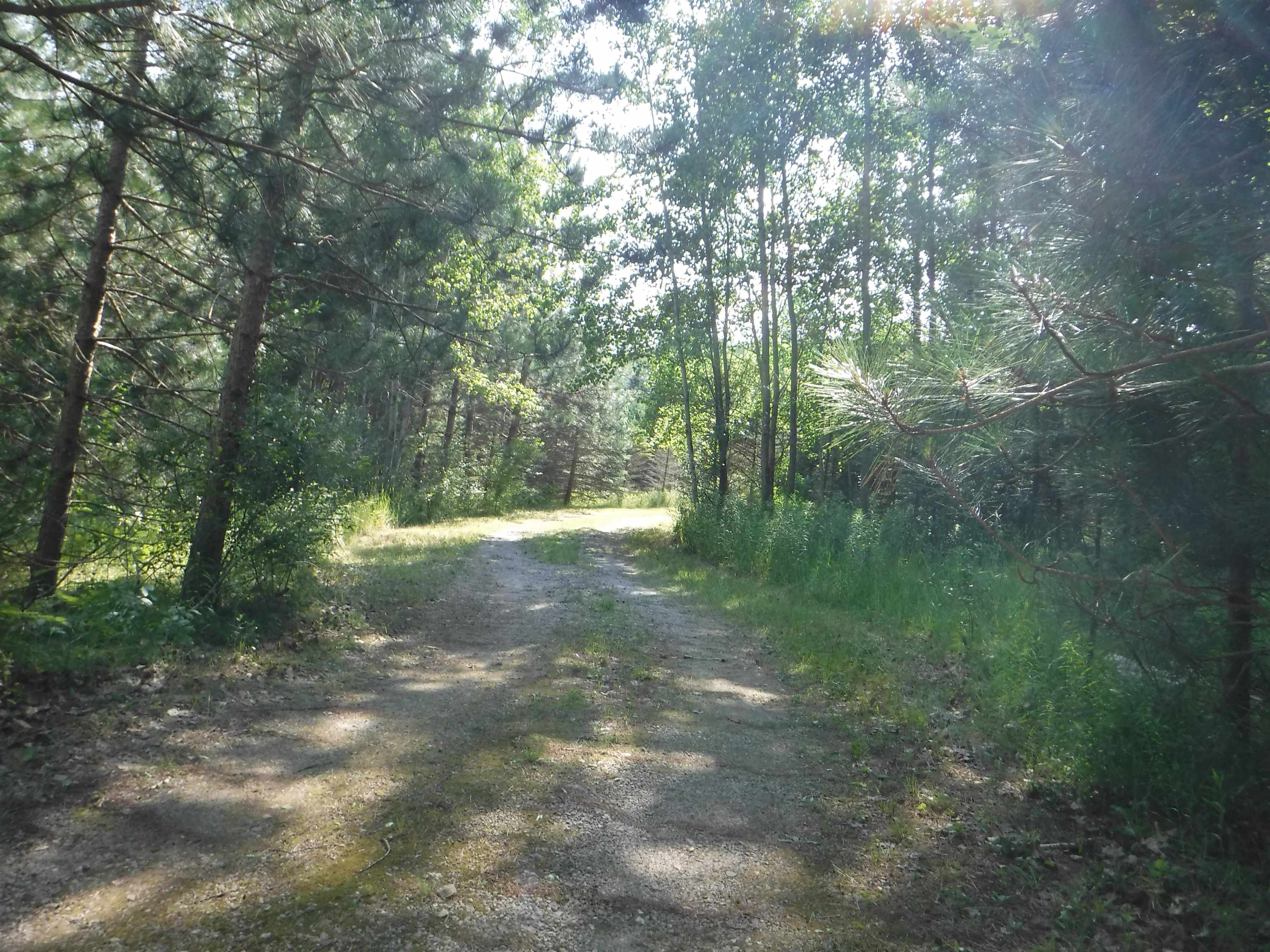 2750 South Poor Farm Road Greenbush, MI 48738 - Photo 9 of 10