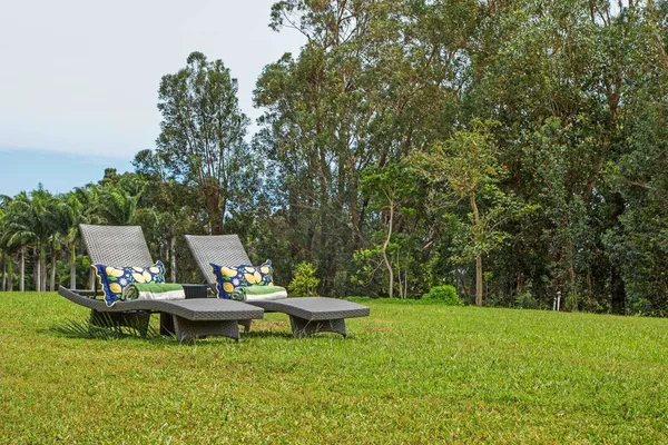 a blue and white bench sitting in the middle of a park