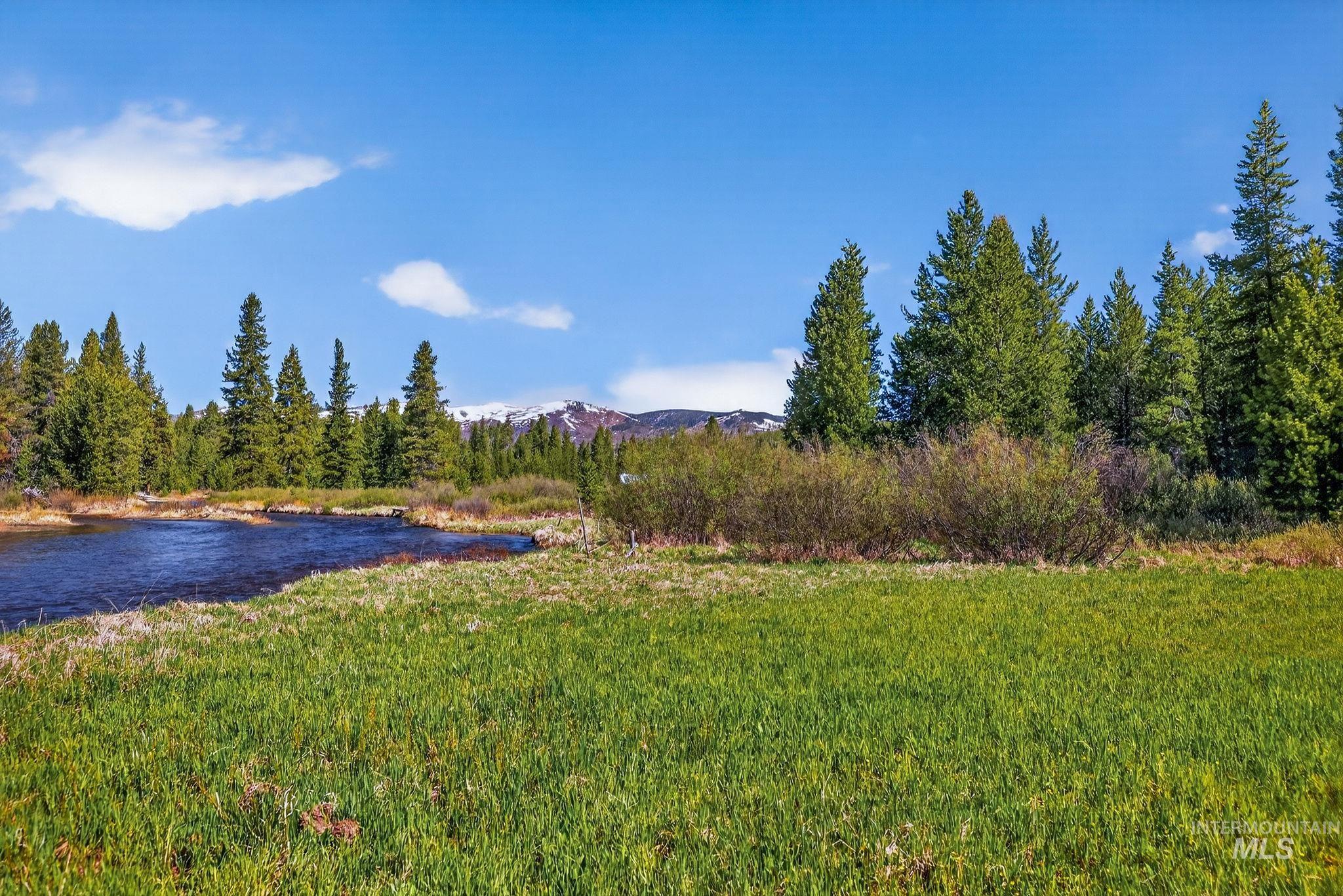 321 Secesh River Road McCall, ID 83638 - Photo 39 of 50 Expansive green meadow bordering a winding river, backed by a dense pine forest, and distant snow-capped mountains