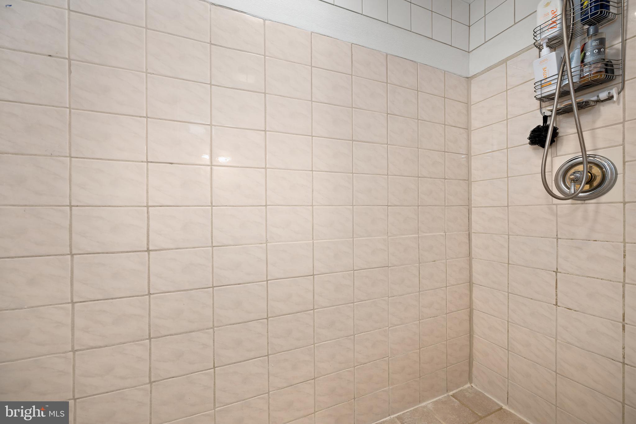 8 Virginia Avenue Milton, DE 19968 - Photo 42 of 50 a bathroom with a shower