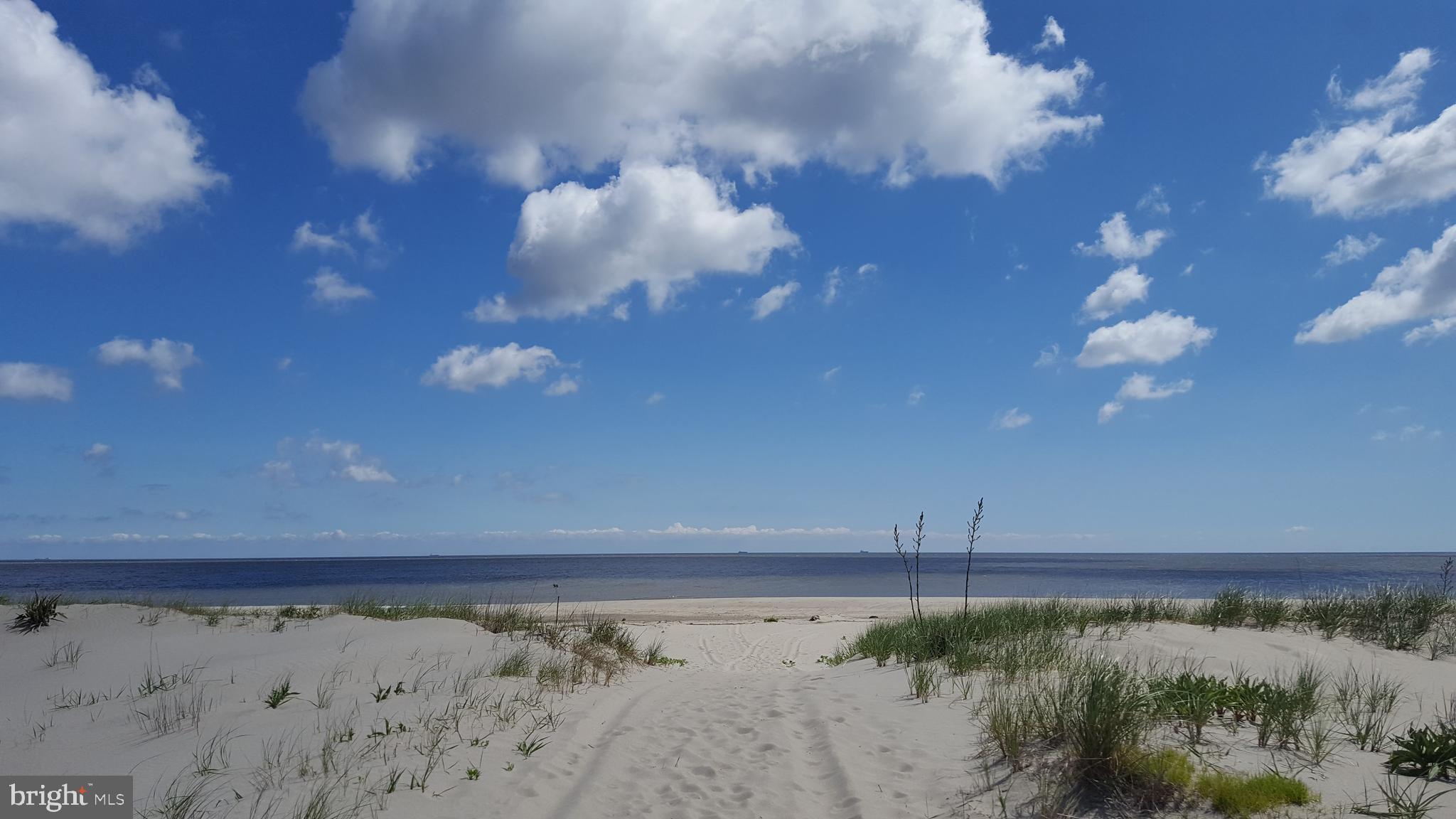 8 Virginia Avenue Milton, DE 19968 - Photo 47 of 50 a view of a lake