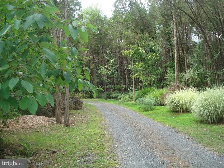 1555 Markley Road Pennsburg, PA 18073 - Photo 6 of 20 Driveway