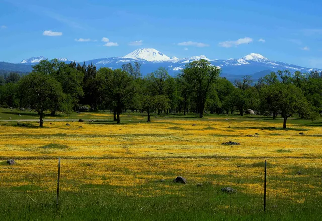 a view of a swimming pool with an outdoor space and seating area