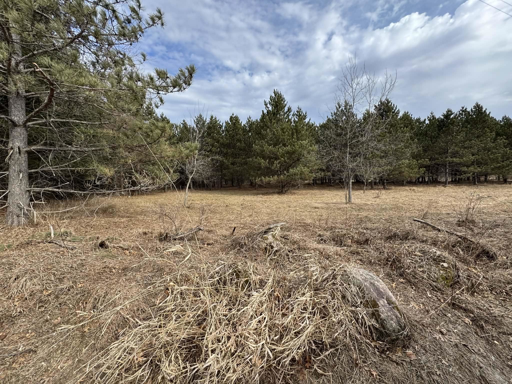 Fountain Grove Road Amherst, WI 54406 - Photo 2 of 11