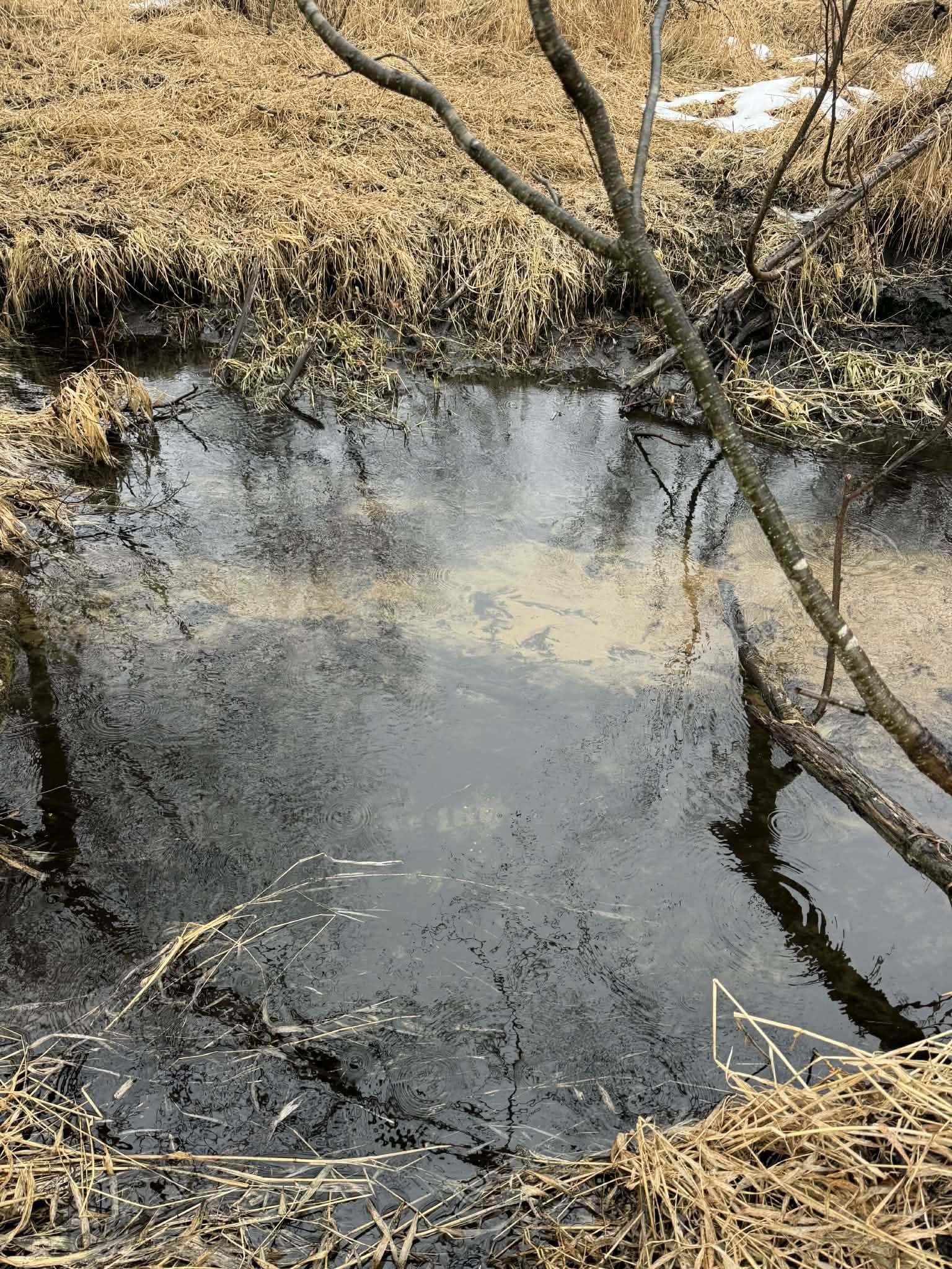 Fountain Grove Road Amherst, WI 54406 - Photo 9 of 11