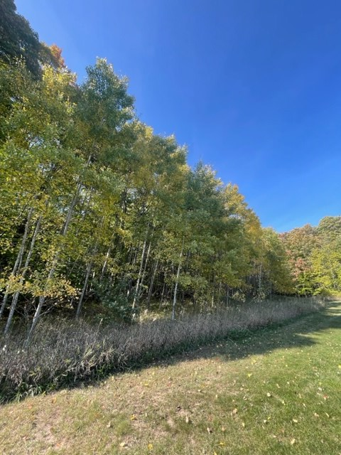 Old Lime Kiln Road Baileys Harbor, WI 54202 - Photo 12 of 14