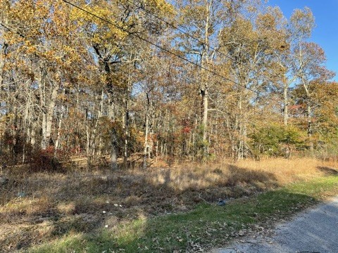 0 Alice Boynton Road Manchester, TN 37355 - Photo 1 of 5 a view of a yard with a tree