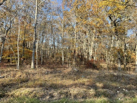 0 Alice Boynton Road Manchester, TN 37355 - Photo 2 of 5 a view of empty room with trees