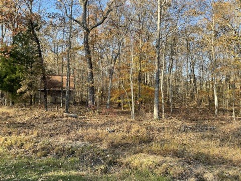 0 Alice Boynton Road Manchester, TN 37355 - Photo 3 of 5 a view of outdoor space with trees