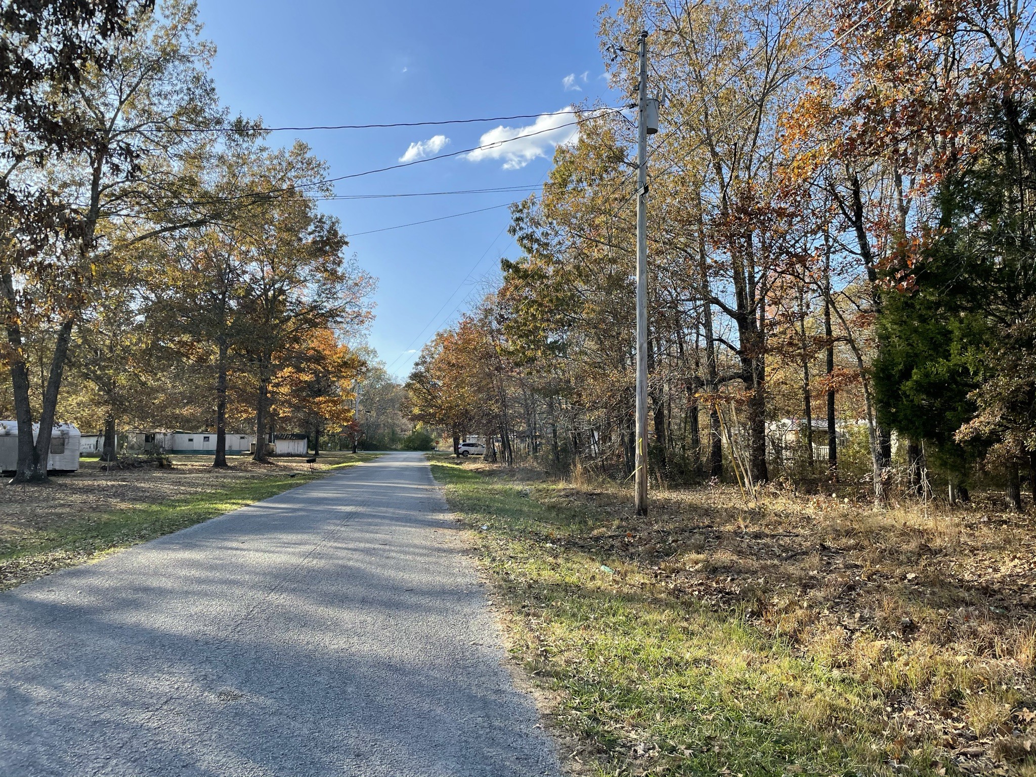 0 Alice Boynton Road Manchester, TN 37355 - Photo 5 of 5 a view of dirt yard with large trees