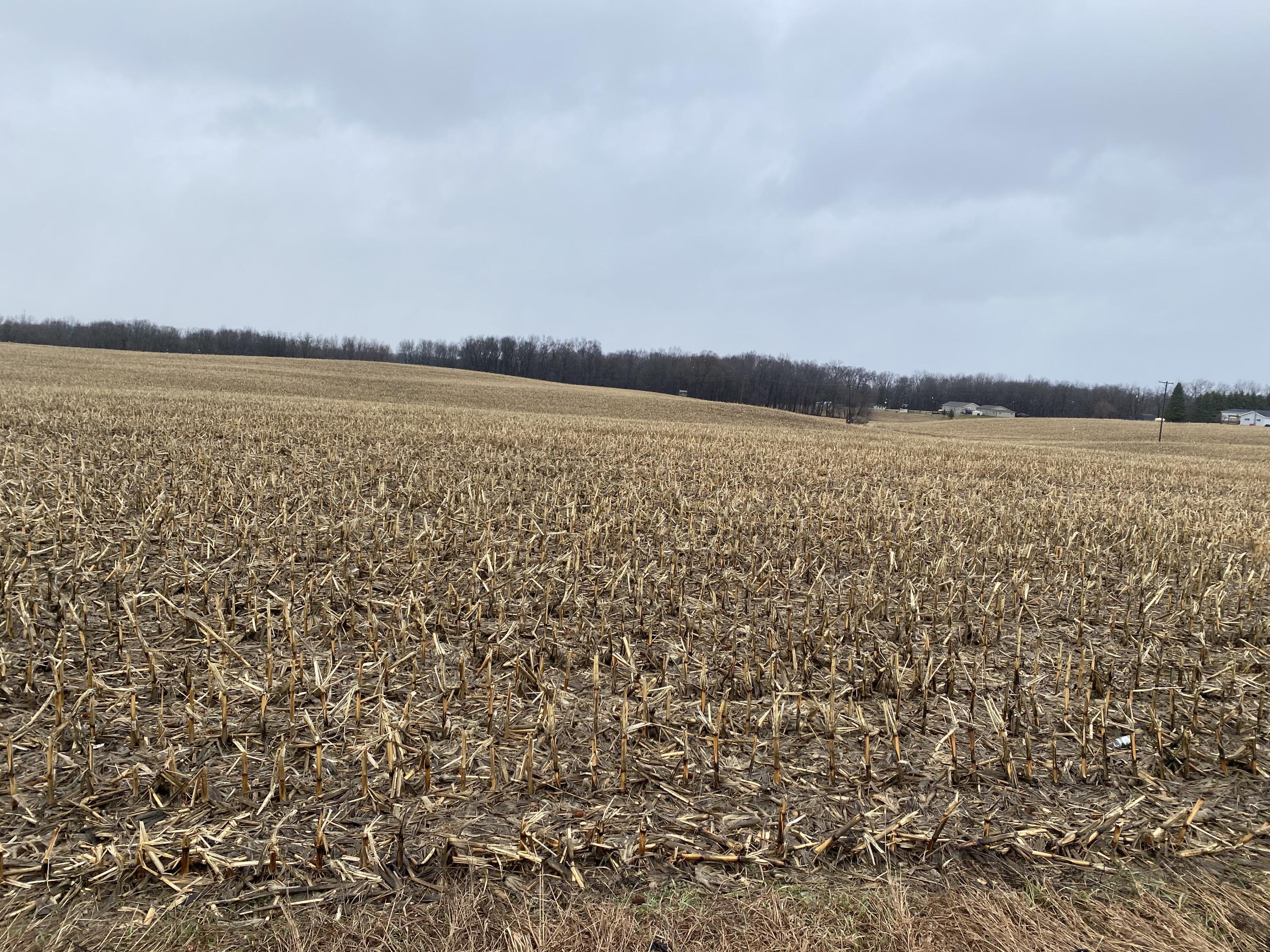 8251 Kimball Road Lyons, MI 48851 - Photo 2 of 3 IMG_2239