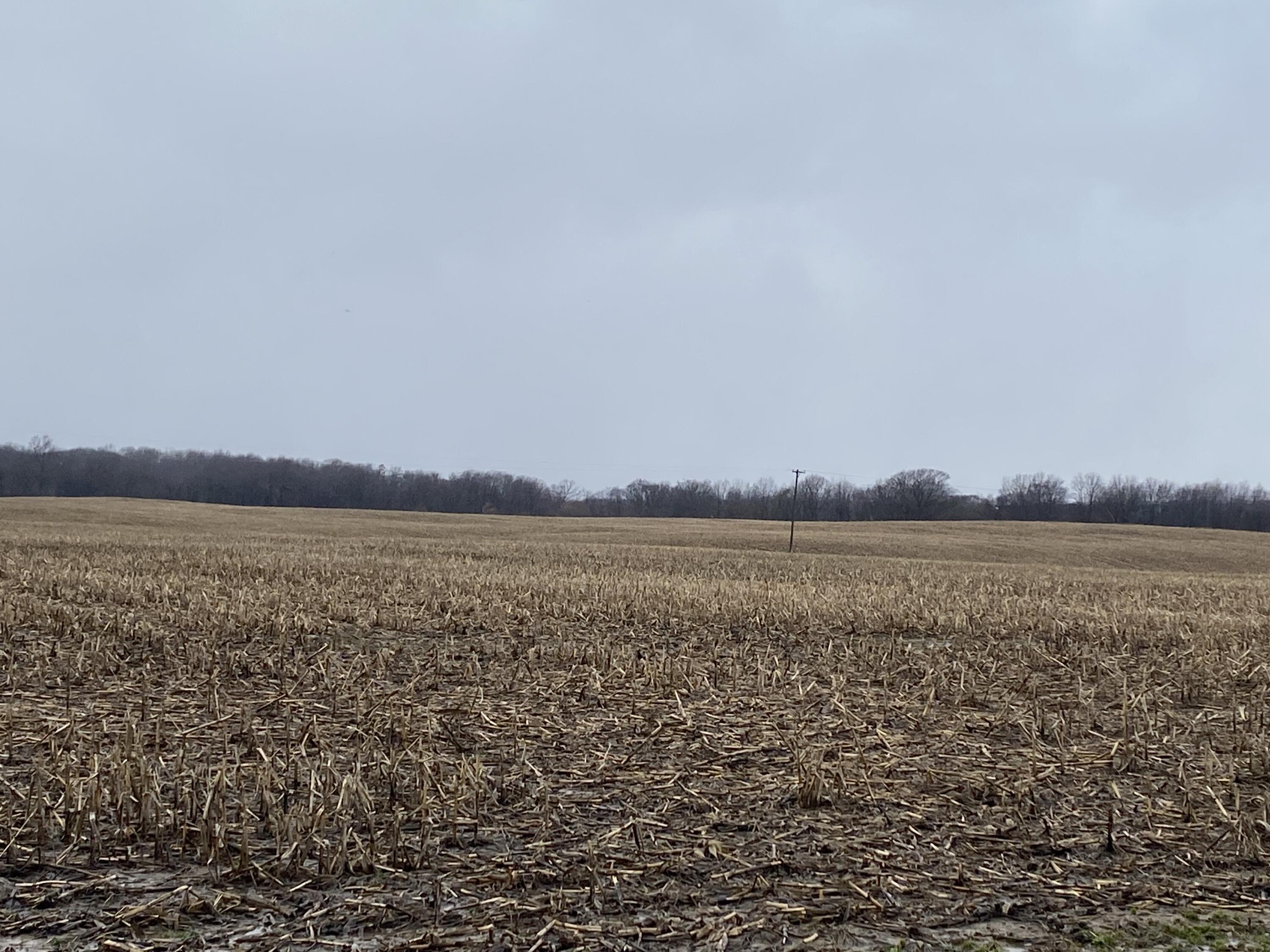 8251 Kimball Road Lyons, MI 48851 - Photo 3 of 3 IMG_2238