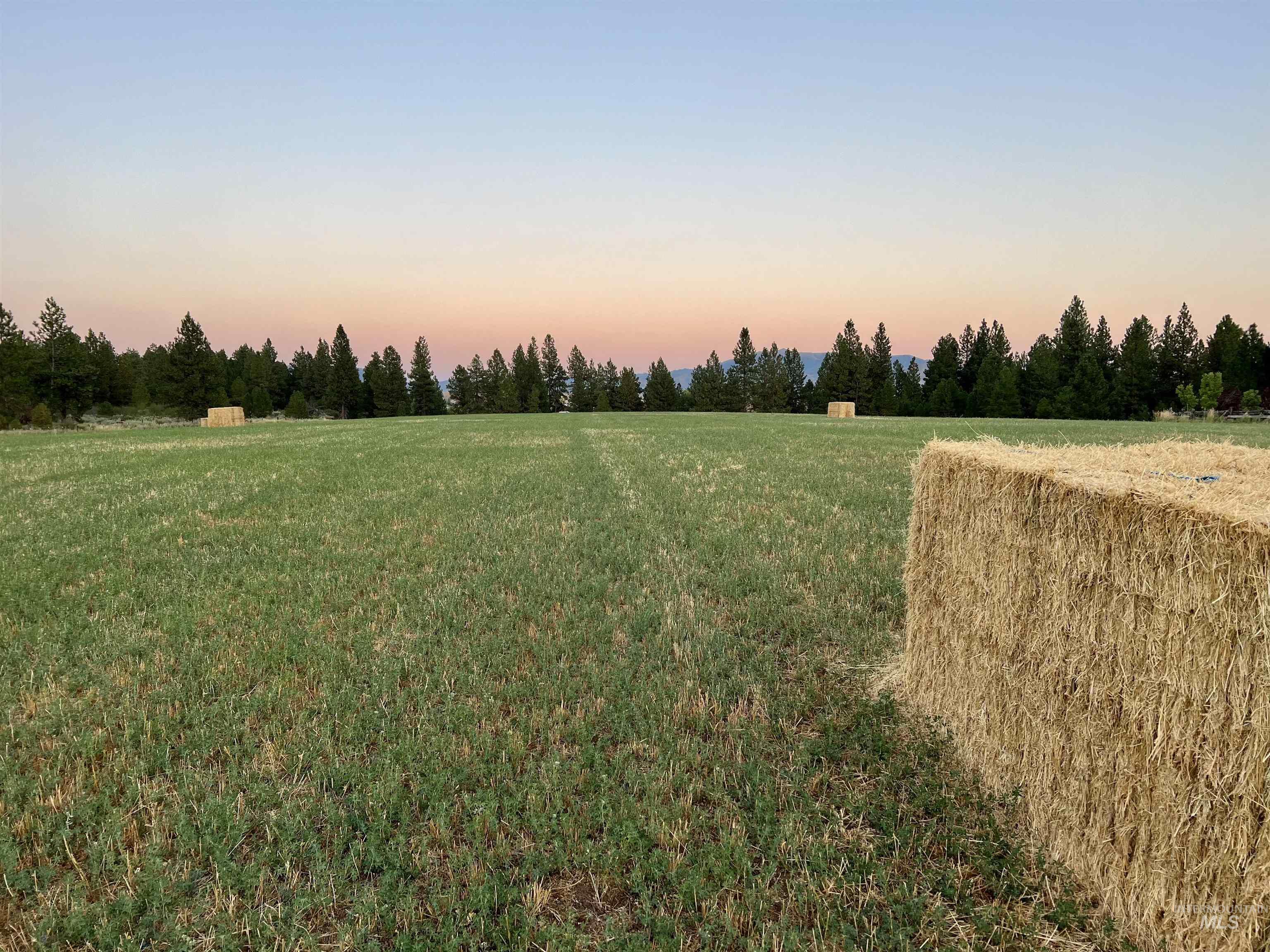 170 North Wildflower Road Mountain Home, ID 83647 - Photo 45 of 47