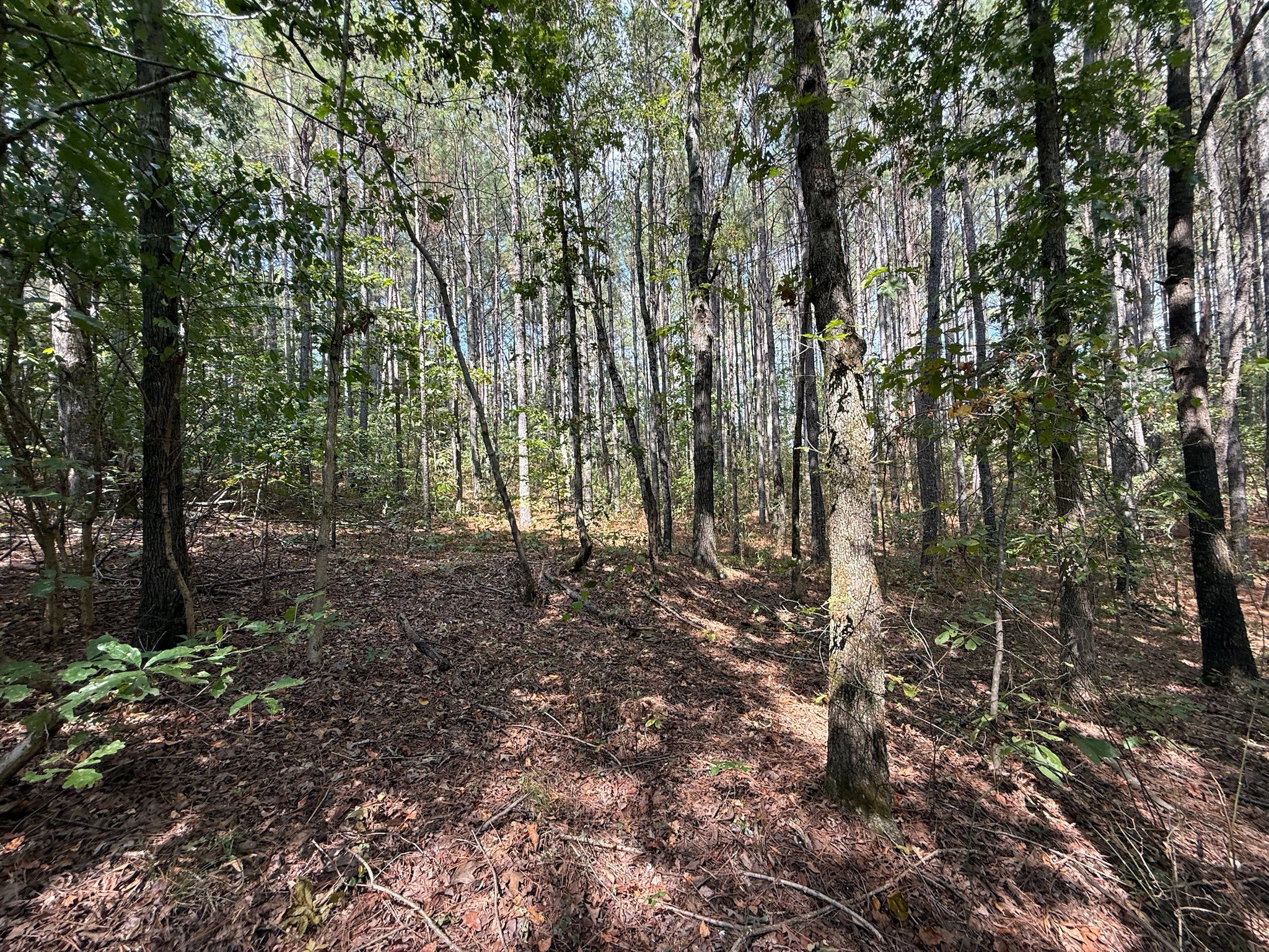 145 Brier Hill Road Ethridge, TN 38456 - Photo 26 of 64