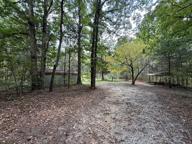 a view of a yard with an trees