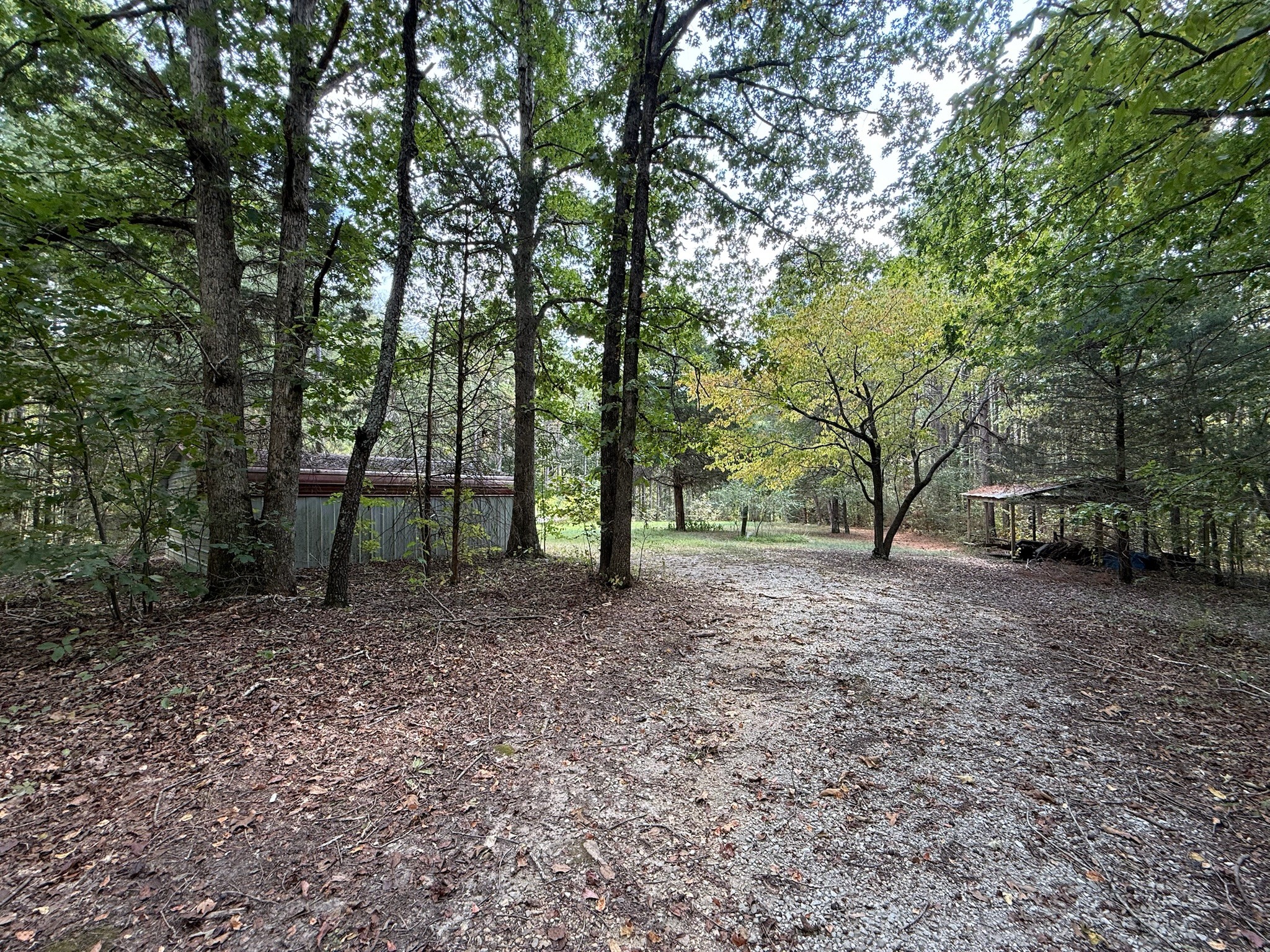 145 Brier Hill Road Ethridge, TN 38456 - Photo 29 of 64