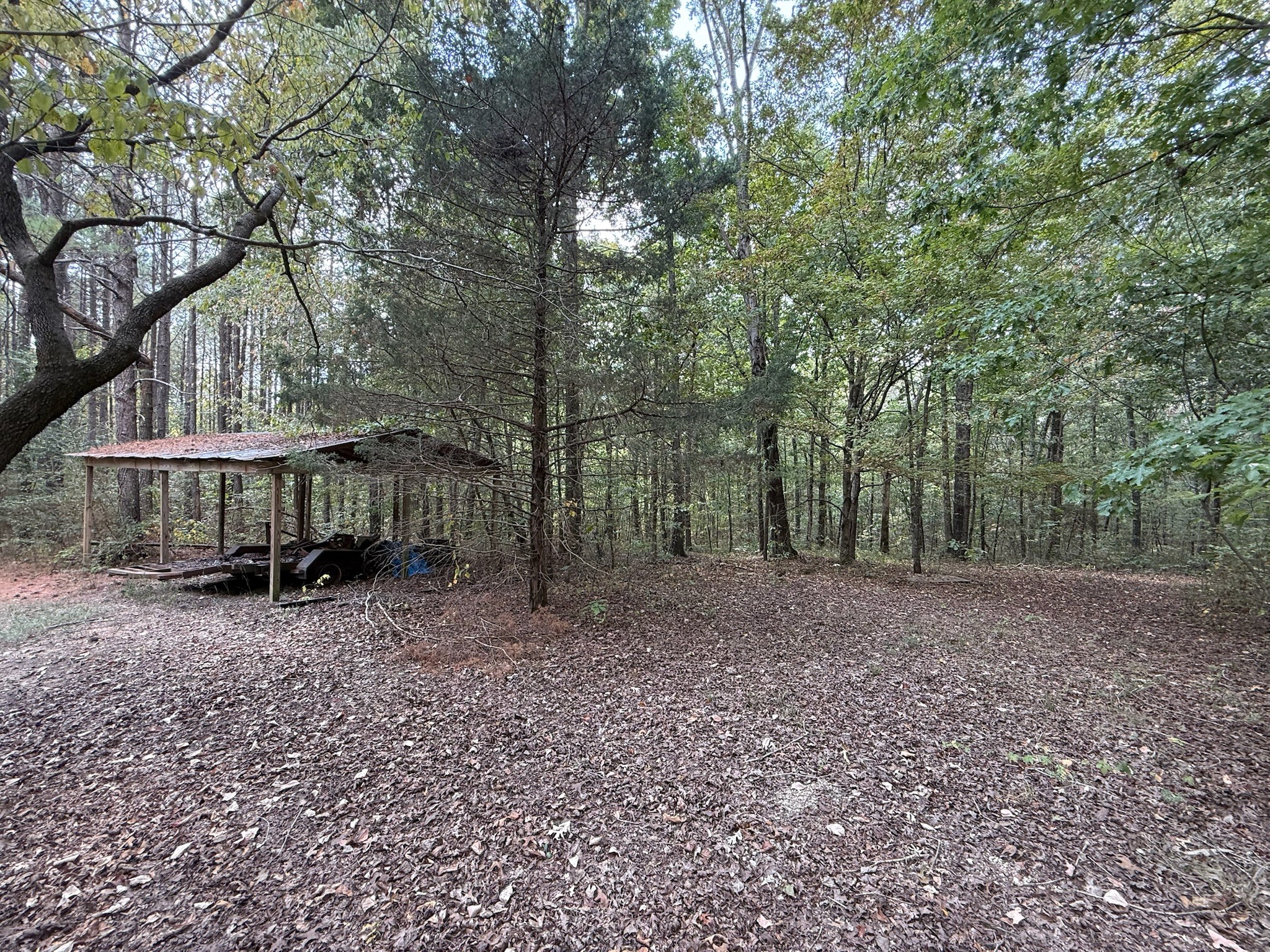 145 Brier Hill Road Ethridge, TN 38456 - Photo 30 of 64 a view of a house with a yard and sitting area