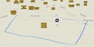 a view of a forest with trees in the background