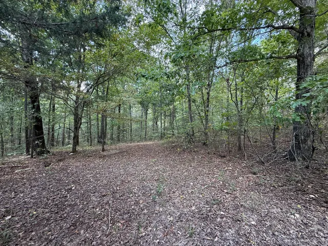 a view of outdoor space and trees
