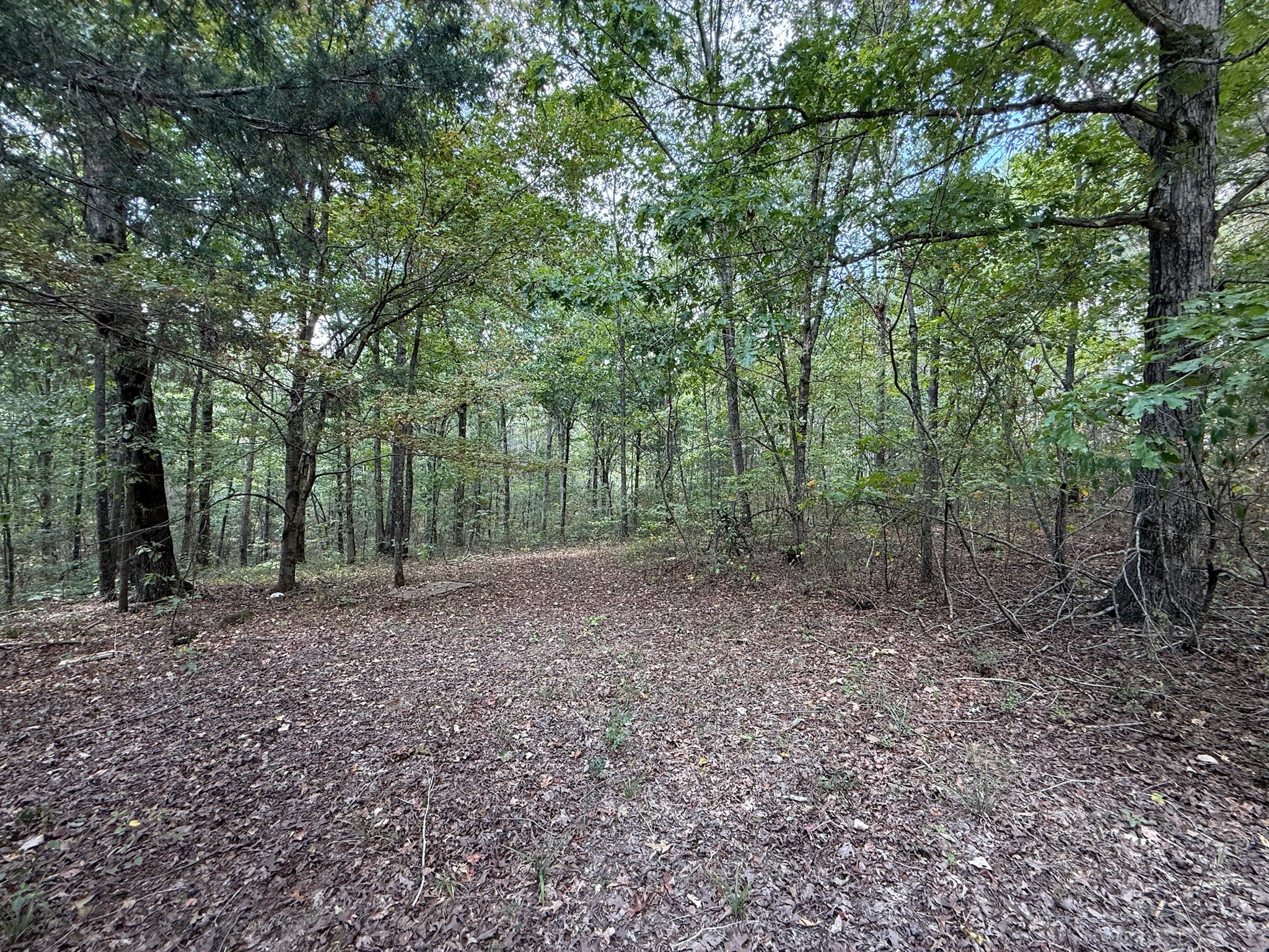 145 Brier Hill Road Ethridge, TN 38456 - Photo 31 of 64