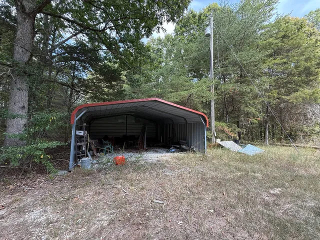 a view of a forest with trees