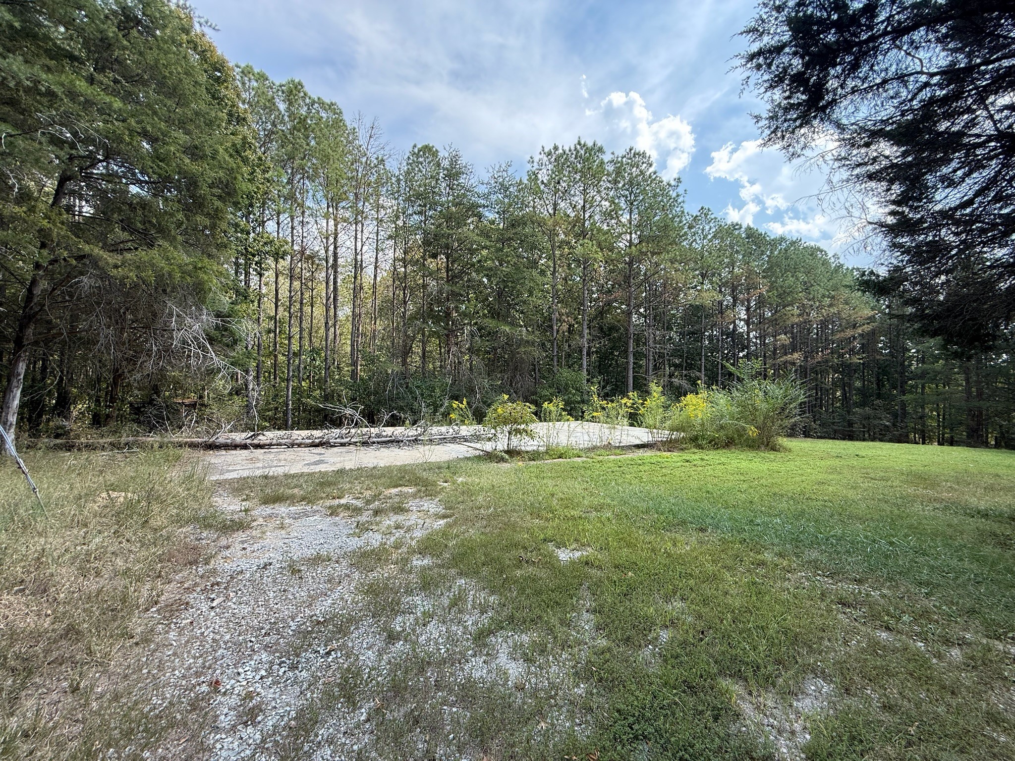145 Brier Hill Road Ethridge, TN 38456 - Photo 33 of 64 a view of a house with a yard