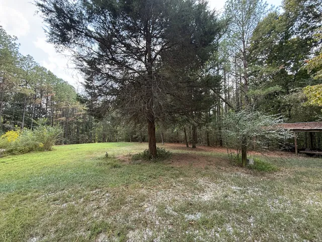 a view of a yard with a tree