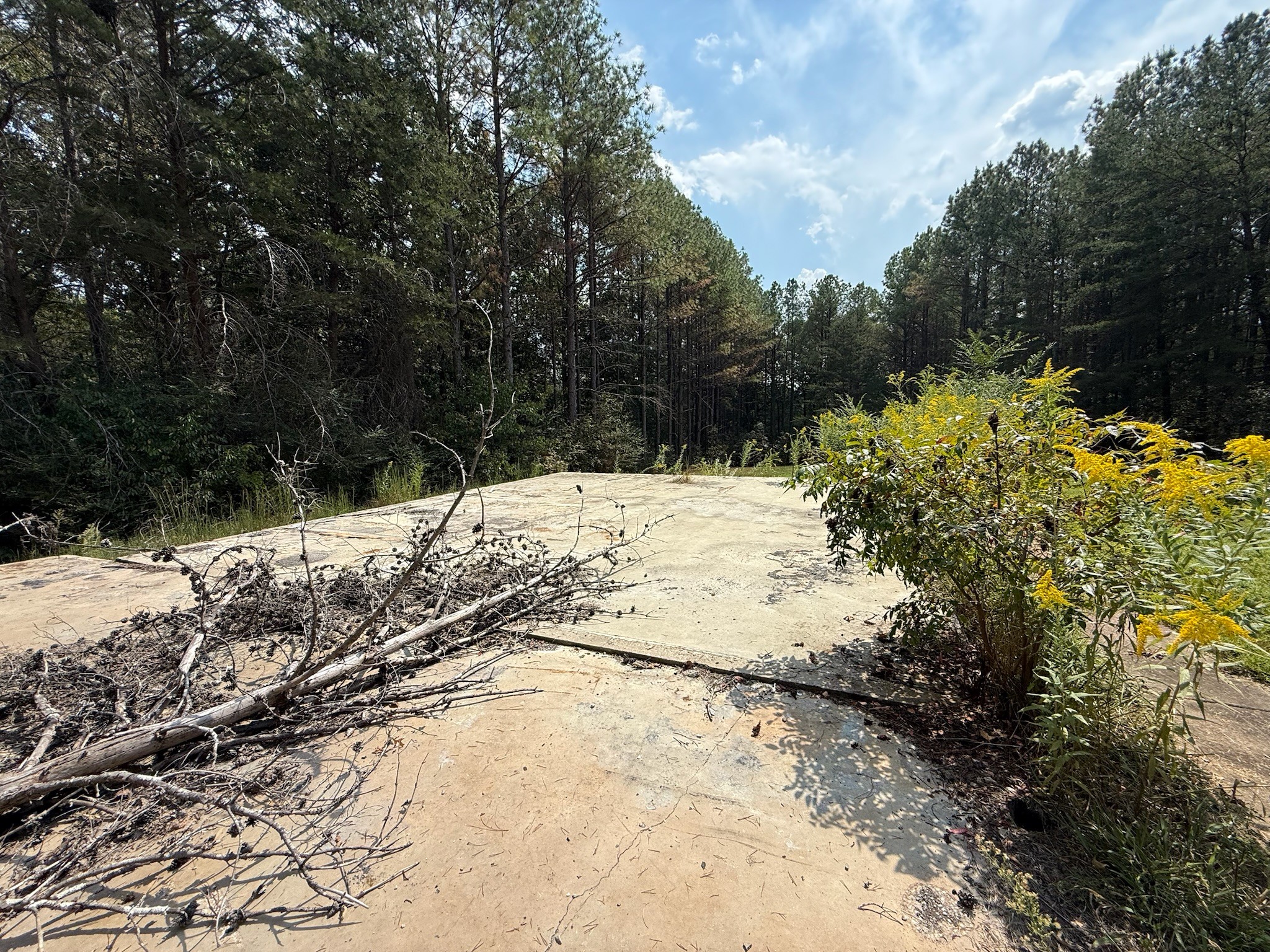 145 Brier Hill Road Ethridge, TN 38456 - Photo 36 of 64 a view of snow covered with snow in outdoor space