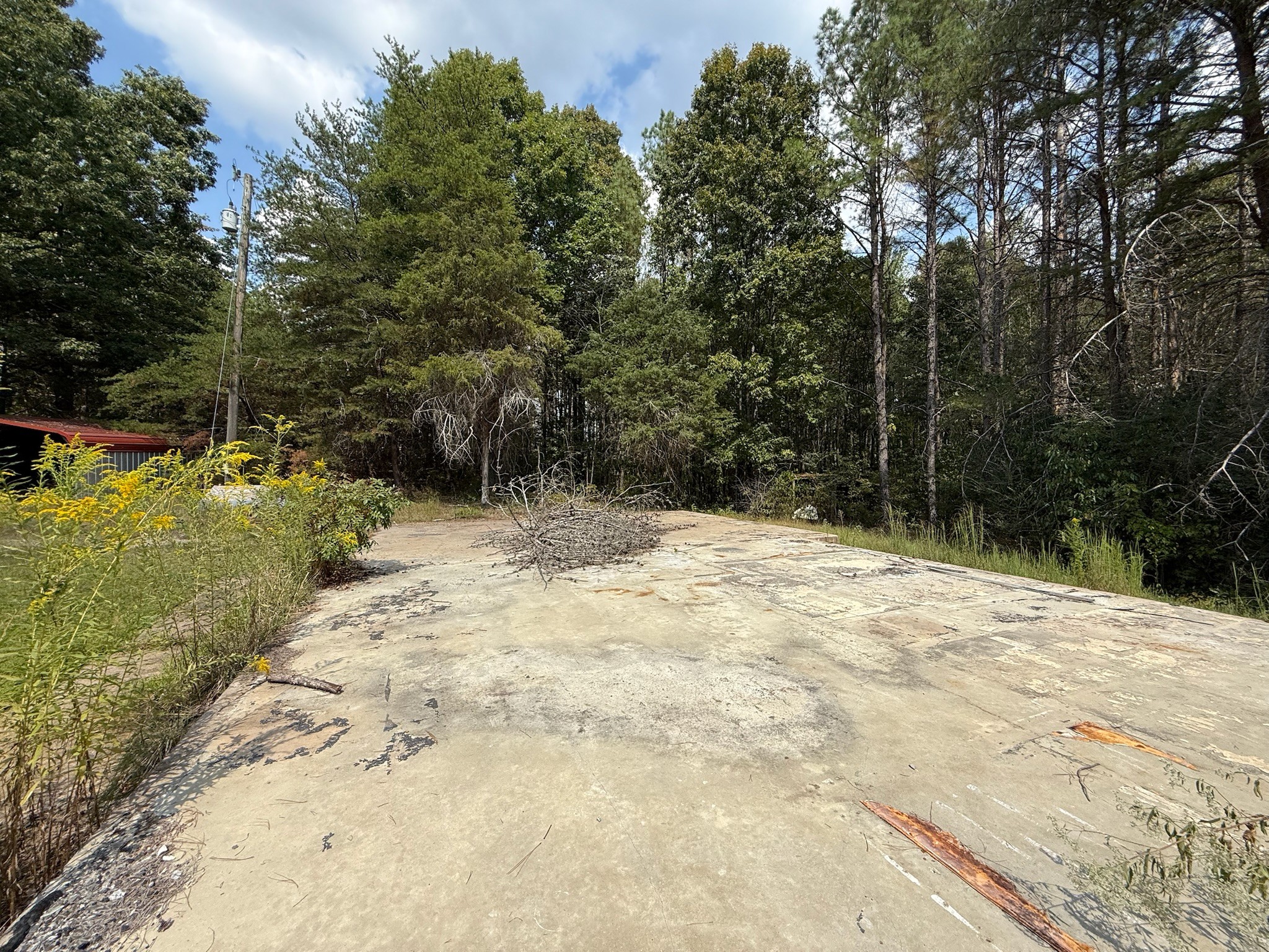 145 Brier Hill Road Ethridge, TN 38456 - Photo 37 of 64 a view of a yard with trees