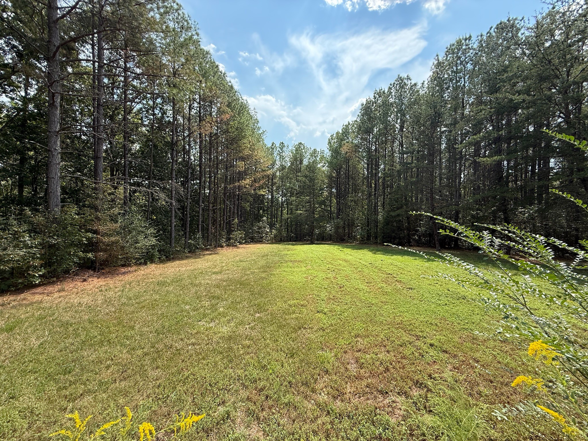 145 Brier Hill Road Ethridge, TN 38456 - Photo 38 of 64