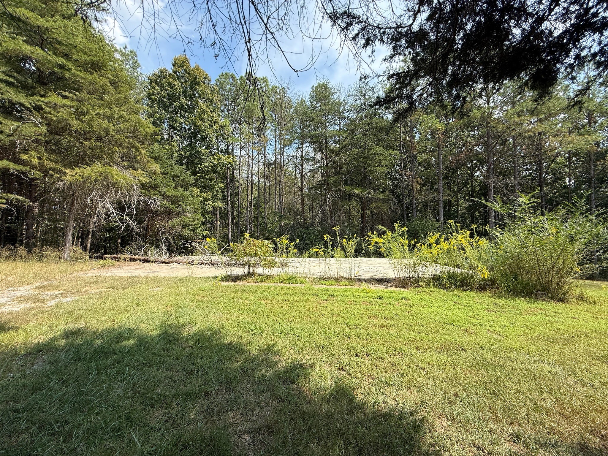 145 Brier Hill Road Ethridge, TN 38456 - Photo 39 of 64 a view of yard with swimming pool and green space